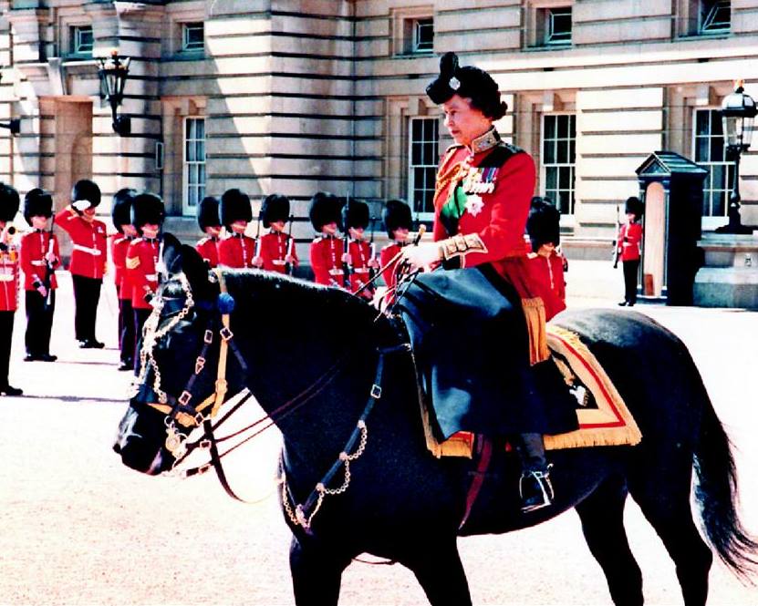 Queen with Burmese